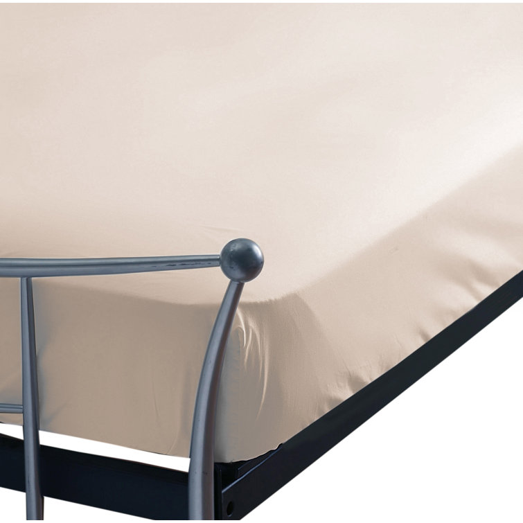 Belledorm Plain Dye 200 TC Egyptian-Quality Cotton Egyptian Cotton ...